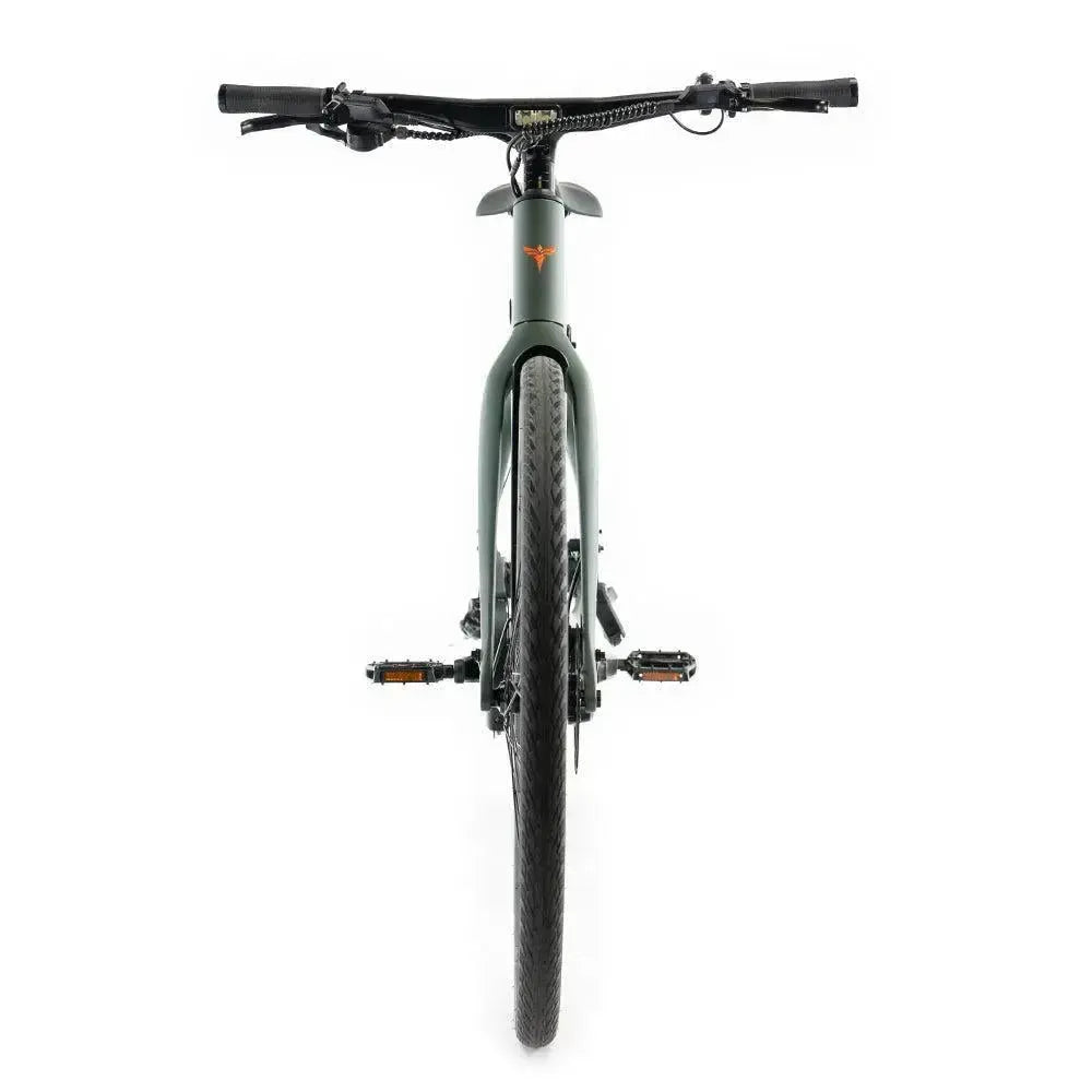 ENGWE Mapfour N1 Pro - Zelená