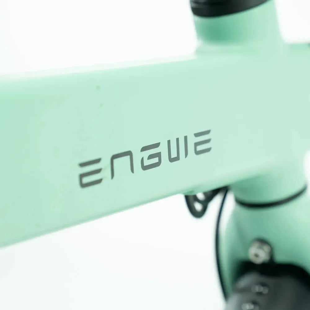 ENGWE P20 - Zelená