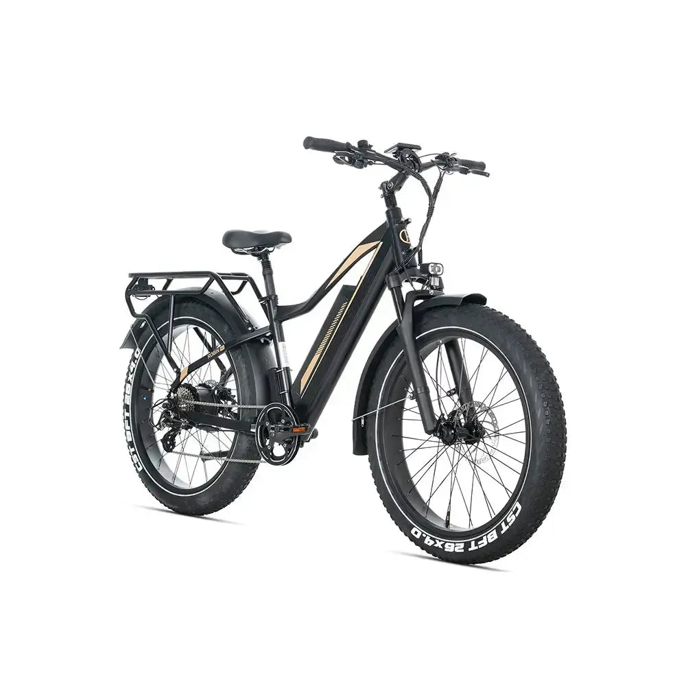 JOBOBIKE Robin Pro - Černá-zlatá