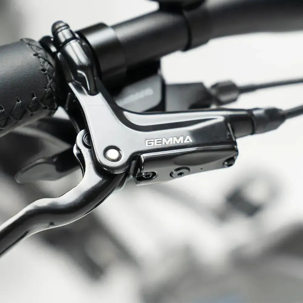 JOBOBIKE Romer Pro - Šedá