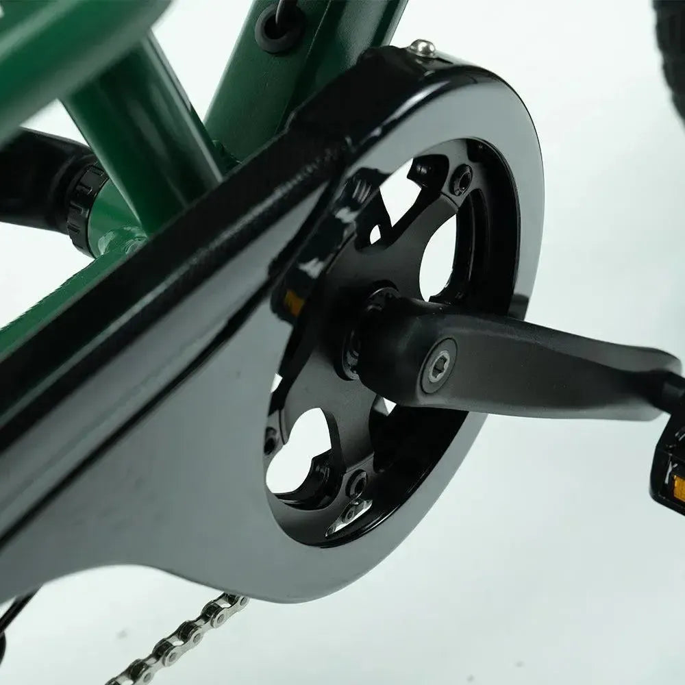 JOBOBIKE Transer - Longtail - Zelená