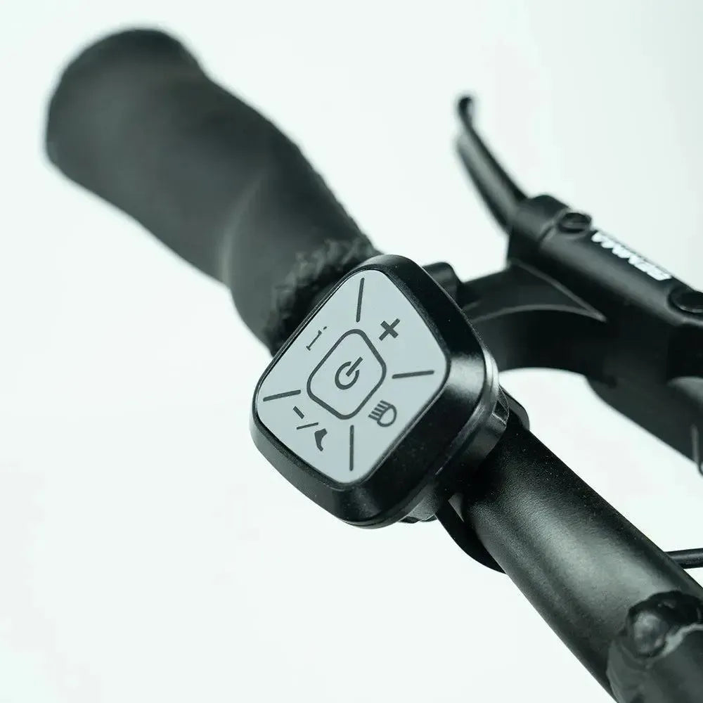 JOBOBIKE Transer - Longtail - Zelená
