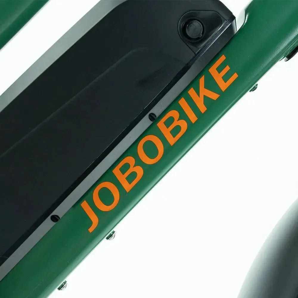JOBOBIKE Transer - Longtail - Zelená