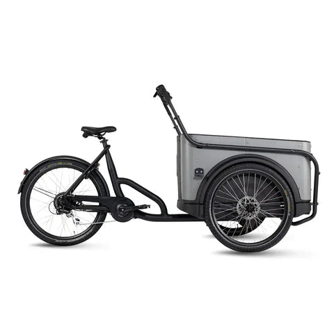 Royal Cargo Bike 3W Eco - Šedá