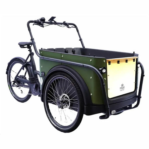 Royal Cargo Bike 3W Eco - Zelený