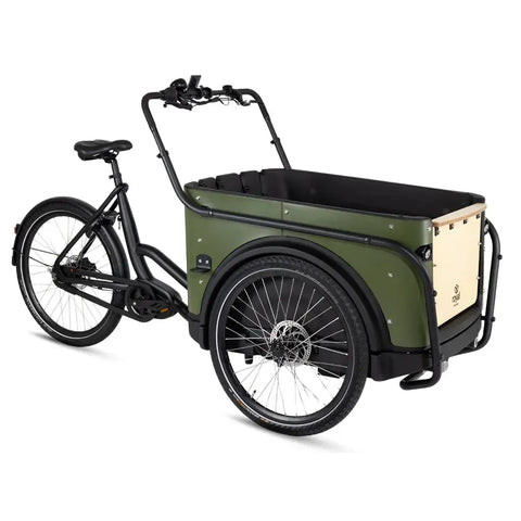 Royal Cargo Bike 3W Premium - Zelená