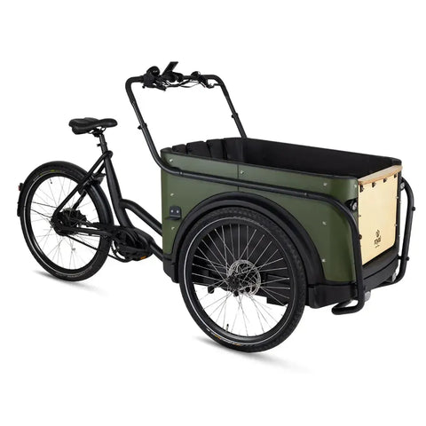 Royal Cargo Bike 3W Premium Plus - Zelená